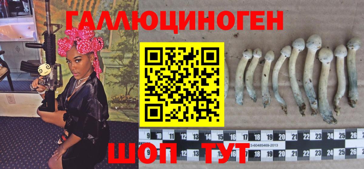 ГАШ Грозный
